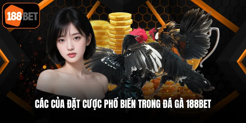 Các của đặt cược phổ biến trong đá gà 188BET