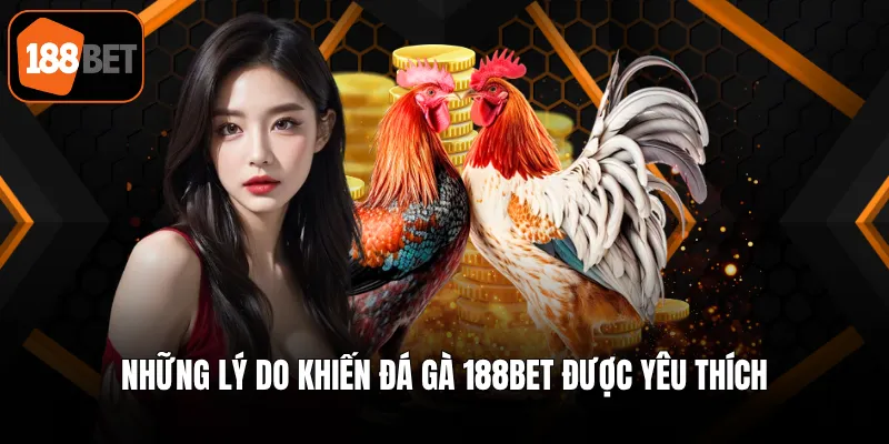 Những lý do khiến đá gà 188BET được yêu thích