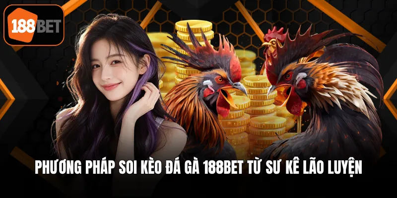 Phương pháp soi kèo đá gà 188BET từ sư kê lão luyện